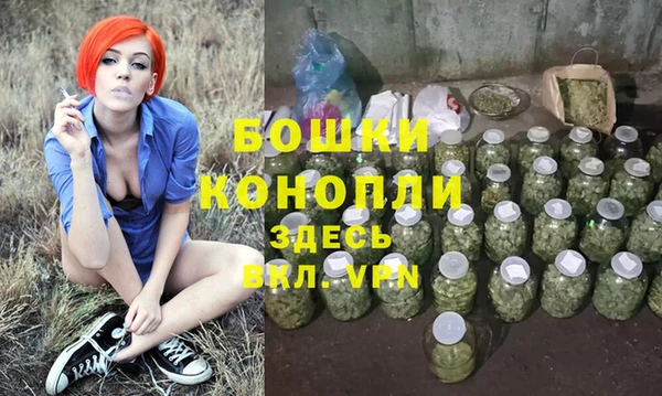 Альфа ПВП Осинники