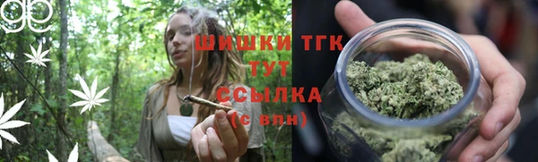 spice Осташков