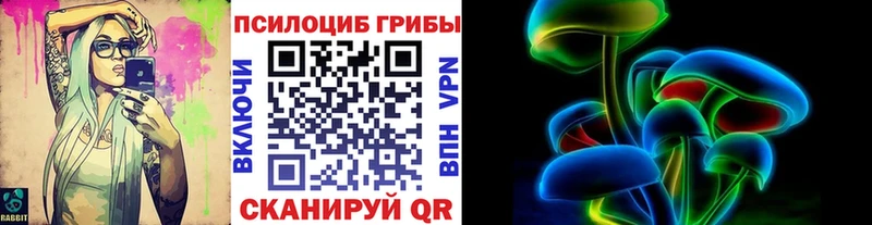 цена наркотик  Бабаево  Галлюциногенные грибы мицелий 